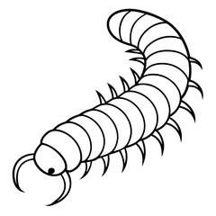 Millipede line art vector