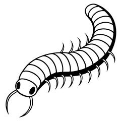 Millipede line art vector