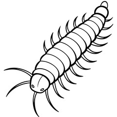 Millipede line art vector
