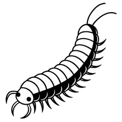 Millipede line art vector