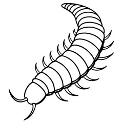 Millipede line art vector