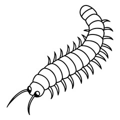 Millipede line art vector