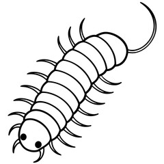 Millipede line art vector