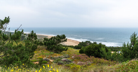 Overlooking a tranquil beach, a vibrant tapestry of wildflowers and pine trees heralds the quiet arrival of spring along the rugged, untouched coastline