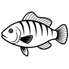 Tilapia line art vector