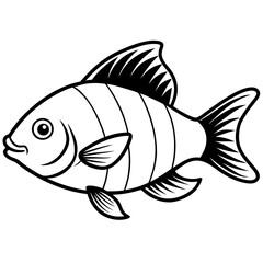 Tilapia line art vector