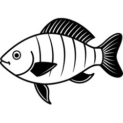 Tilapia line art vector