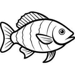 Tilapia line art vector