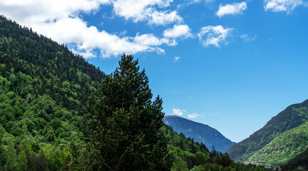 A lush green valley in the Pyrenees, Andorra, with dense forests covering the mountainsides under a bright blue sky with scattered clouds.