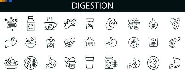 Digestion Icon Set for Gut Health, Nutrition Education, and Wellness UI Design