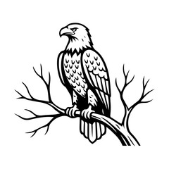 eagle bird on branch