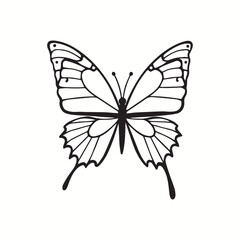  line art butterfly on white background