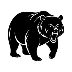 bear vector illustration