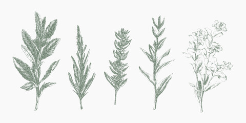 Green plant print with leafy silhouettes and paper grain, gritty overlay and soft ink texture, faded noise and natural dotted stipple.