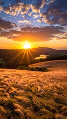 Golden sunset over a grassy field