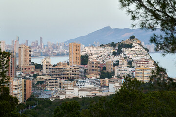 Obraz premium Benidorm urban skyline high rise buildings elevated viewpoint Mediterranean Spain coastal city modern architecture