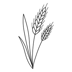 Wheat stalks line art template for embroidery