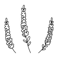 Lavender embroidery pattern design for textile and craft