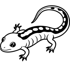 Salamander line art vector