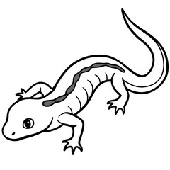 Salamander line art vector