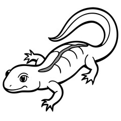Salamander line art vector