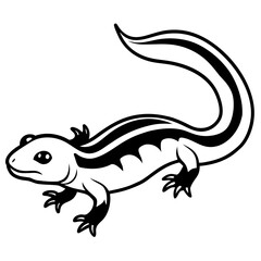 Salamander line art vector