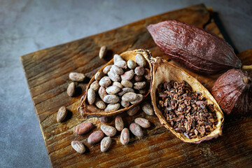 cocoa bean and cocoa nibs, cacao pods