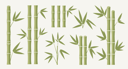 Bamboo Patterns, Green Plants, Natural Environment, Vector Illustration, Calm Spaces, Artistic View, Tranquil Concept