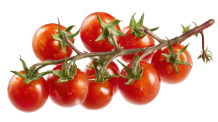 Fresh cherry tomatoes on a branch, vibrant red color, ideal for cooking or garnish, white isolated background.