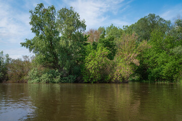 The Volga River Delta in the Damchik section of the Astrakhan Biosphere Reserve, Central cordon, on...