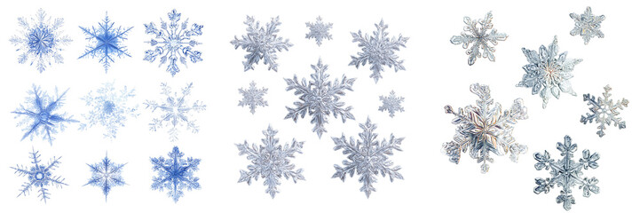 Set of Single snowflake design, realistic frozen crystal geometry on transparent png background. Ai generated