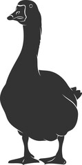 Goose bird vector silhouette black illustration