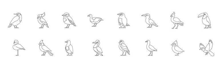 Various birds line vector set