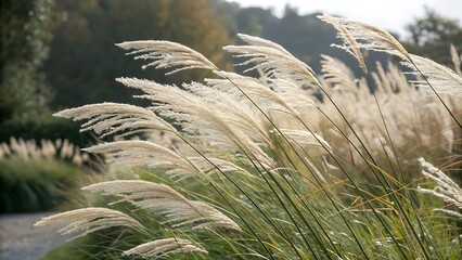 Ornamental grasses and pampas grass tufts creating elegant isolated landscaping elements with on AI Generated