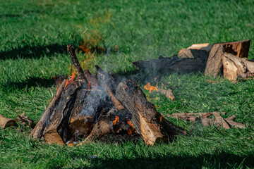 firewood in the grass