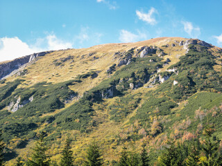 panorama of the mountains in autumn colors