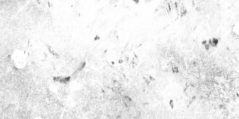 Abstract texture dust particle and dust grain on white background, resembling risograph print and layered fibers, Subtle halftone grunge urban texture,  monochrome black and white ink effect wall.