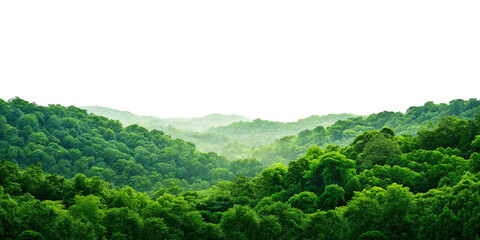 Ultra-Realistic Fiery Explosion with Mushroom Cloud on Transparent Background
Cinematic Digital Artwork of Massive Explosion and Smoke Cloud Isolated on Alpha