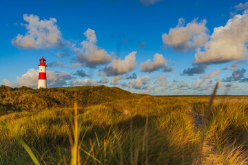 Der Lister Leuchtturm im Morgenlicht am Ellenbogen auf der Insel Sylt, Deutschland