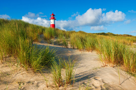 Der Lister Leuchtturm im Morgenlicht am Ellenbogen auf der Insel Sylt, Deutschland