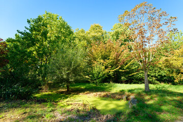 Arboretum of Paris, botanical garden in the 12th arrondissement of Paris city.