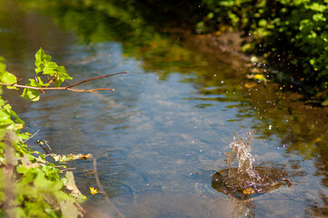 Steinwurf in den Bach - Wasserspritzer
