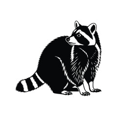 Fototapeta premium A striking black and white vector illustration of a wild raccoon on an isolated background.