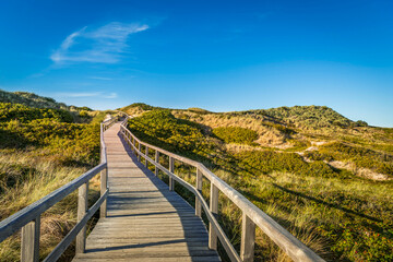 Obraz premium Holzsteg durch die Dünenlandschaft zum Strand auf der Nordseeinsel Sylt