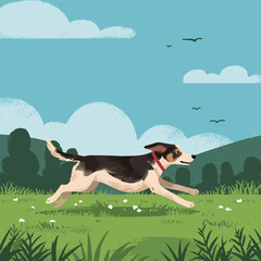 A dog running through a grassy field on a sunny day.