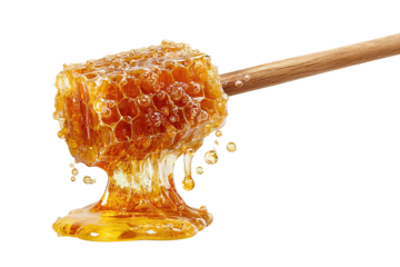 Viscous dripping honey with wood grain texture on dipper handle, isolated on transparent background.
