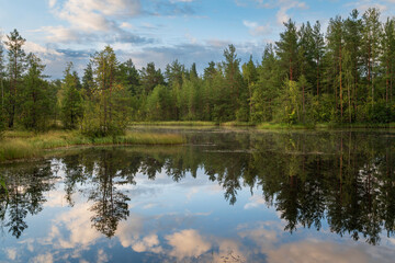 Walking route through the Sestroretskoye Boloto (Sestroretsk swamp) State Nature Reserve on a sunny summer day, Russia, Saint Petersburg, Kurortny District, Beloostrov