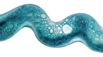 Organic fluid pattern of layered sea foam with vivid aquatic tones, isolated on transparent background.
