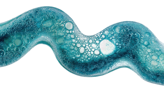 Organic fluid pattern of layered sea foam with vivid aquatic tones, isolated on transparent background.
