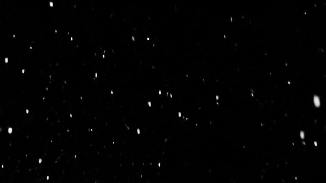 Specks of light scattered in a dark void